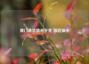 澳门德信德州扑克 荷官抽水