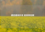 德信德州扑克 皇家同花顺