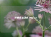 博雅德信德州扑克3.0.6