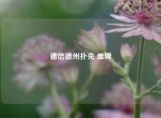 德信德州扑克 盖牌