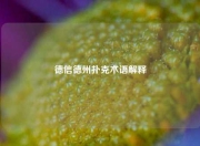 德信德州扑克术语解释