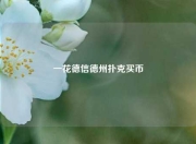 一花德信德州扑克买币