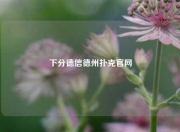 下分德信德州扑克官网
