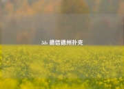 3ds 德信德州扑克