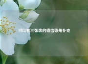 可以看三张牌的德信德州扑克