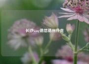 长沙king德信德州扑克