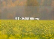 两个人玩德信德州扑克