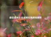 德信德州扑克视频经典牌局解析