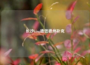 长沙king德信德州扑克