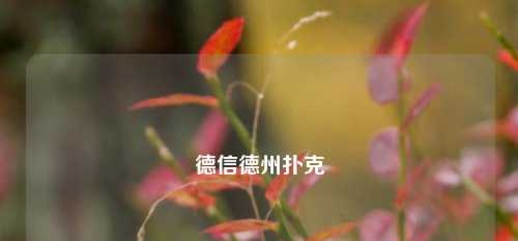 德信德州扑克