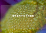 德信德州扑克 套哥是谁
