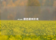 steam 德信德州扑克