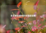 北京德信德州扑克荷官招聘