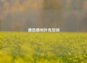 德信德州扑克培训