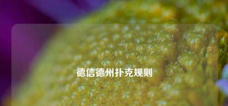 德信德州扑克规则