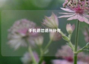 手机德信德州扑克