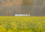 德信德州扑克SNG