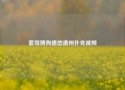 套哥博狗德信德州扑克视频