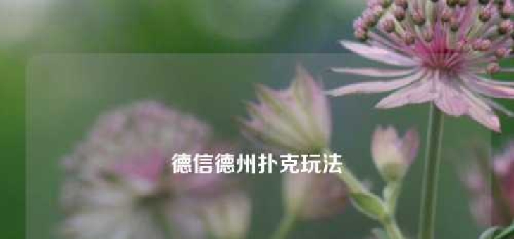 德信德州扑克玩法