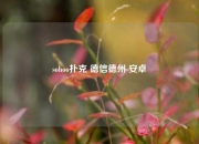 sohoo扑克 德信德州 安卓