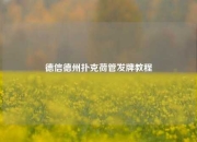 德信德州扑克荷管发牌教程