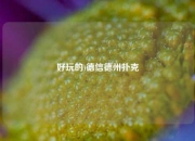 好玩的)德信德州扑克