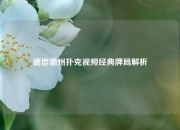 德信德州扑克视频经典牌局解析