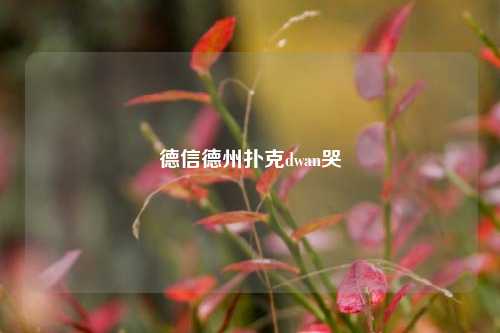 德信德州扑克dwan哭