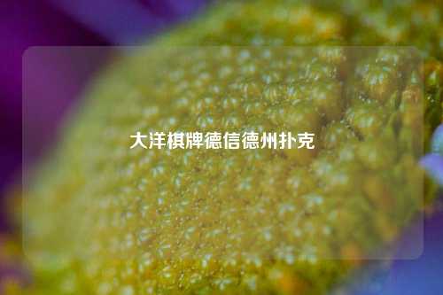 大洋棋牌德信德州扑克