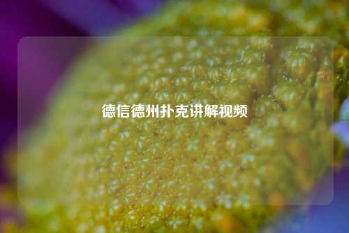 德信德州扑克讲解视频